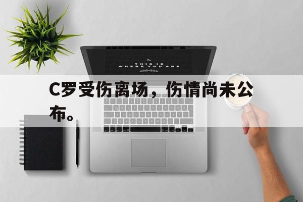爱游戏网页版-C罗受伤离场，伤情尚未公布。后缀