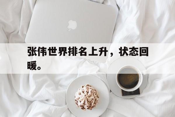 爱游戏网页版-张伟世界排名上升，状态回暖。后缀