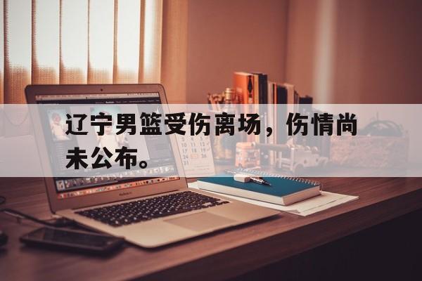 爱游戏网页版-辽宁男篮受伤离场，伤情尚未公布。后缀