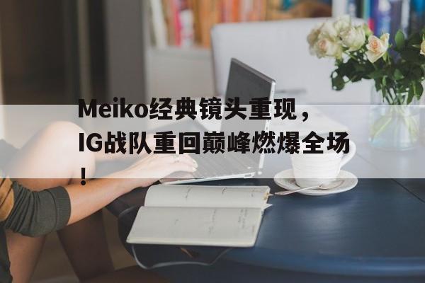 爱游戏aiyouxi(中国)-Meiko经典镜头重现，IG战队重回巅峰燃爆全场！后缀